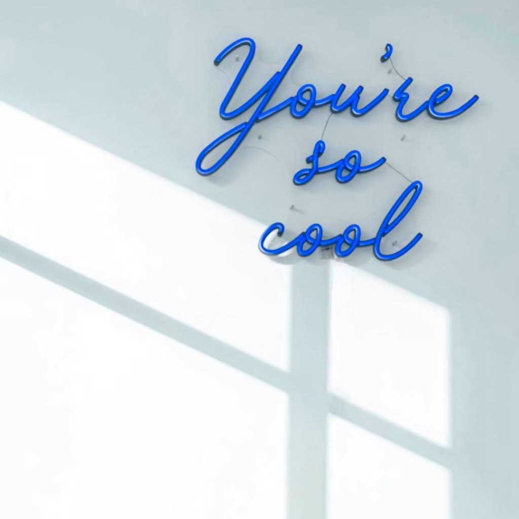 youre so cool 1